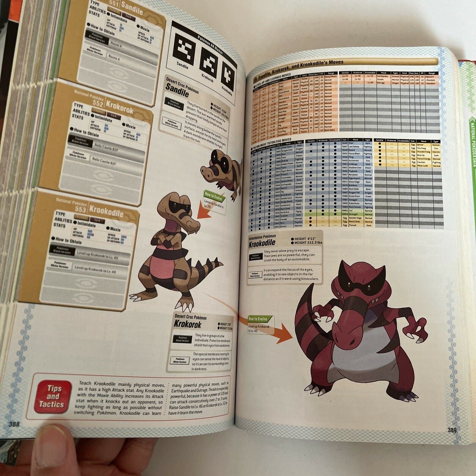 Pokemon Black and Pokemon White Versions: Official National Pokedex : The