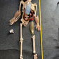 Human Skeleton Incomplete 115cm Tall