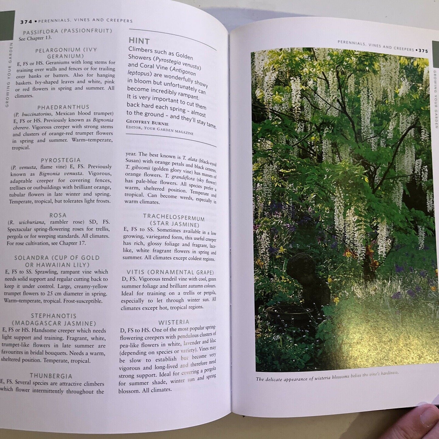 Yates Garden Guide by Yates (Paperback, 2011) Australia