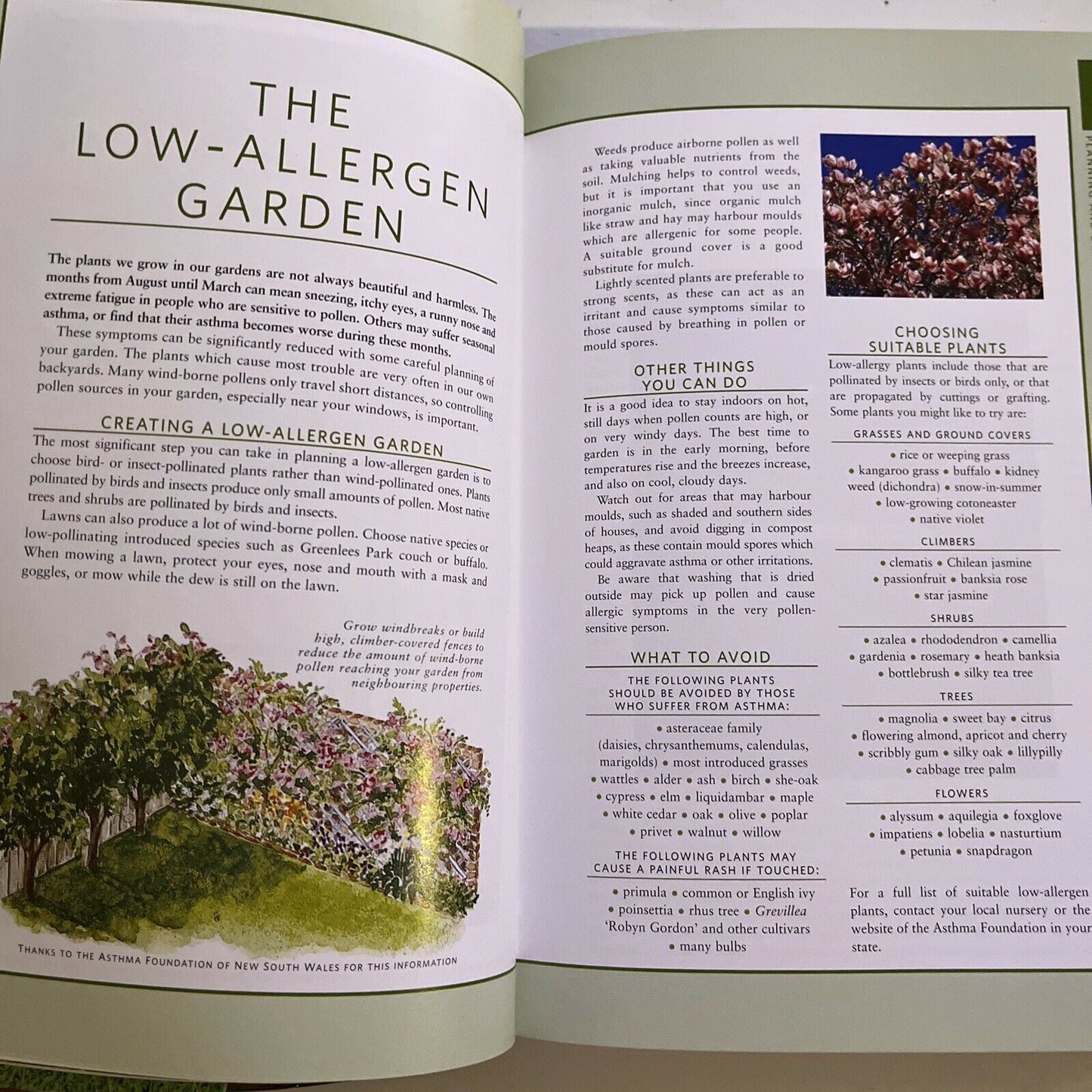 Yates Garden Guide by Yates (Paperback, 2011) Australia