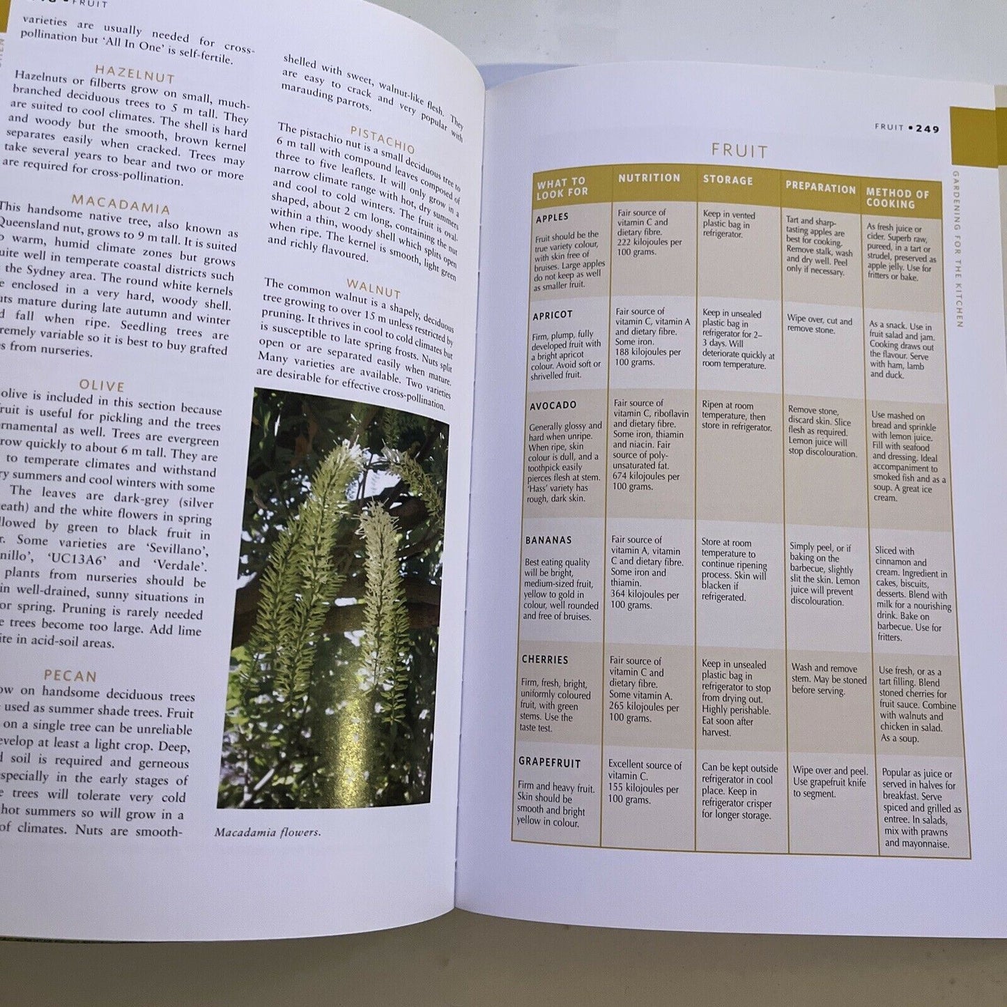 Yates Garden Guide by Yates (Paperback, 2011) Australia
