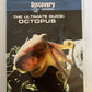 Discovery Channel - The Ultimate Guide Octopus (DVD) Region 4