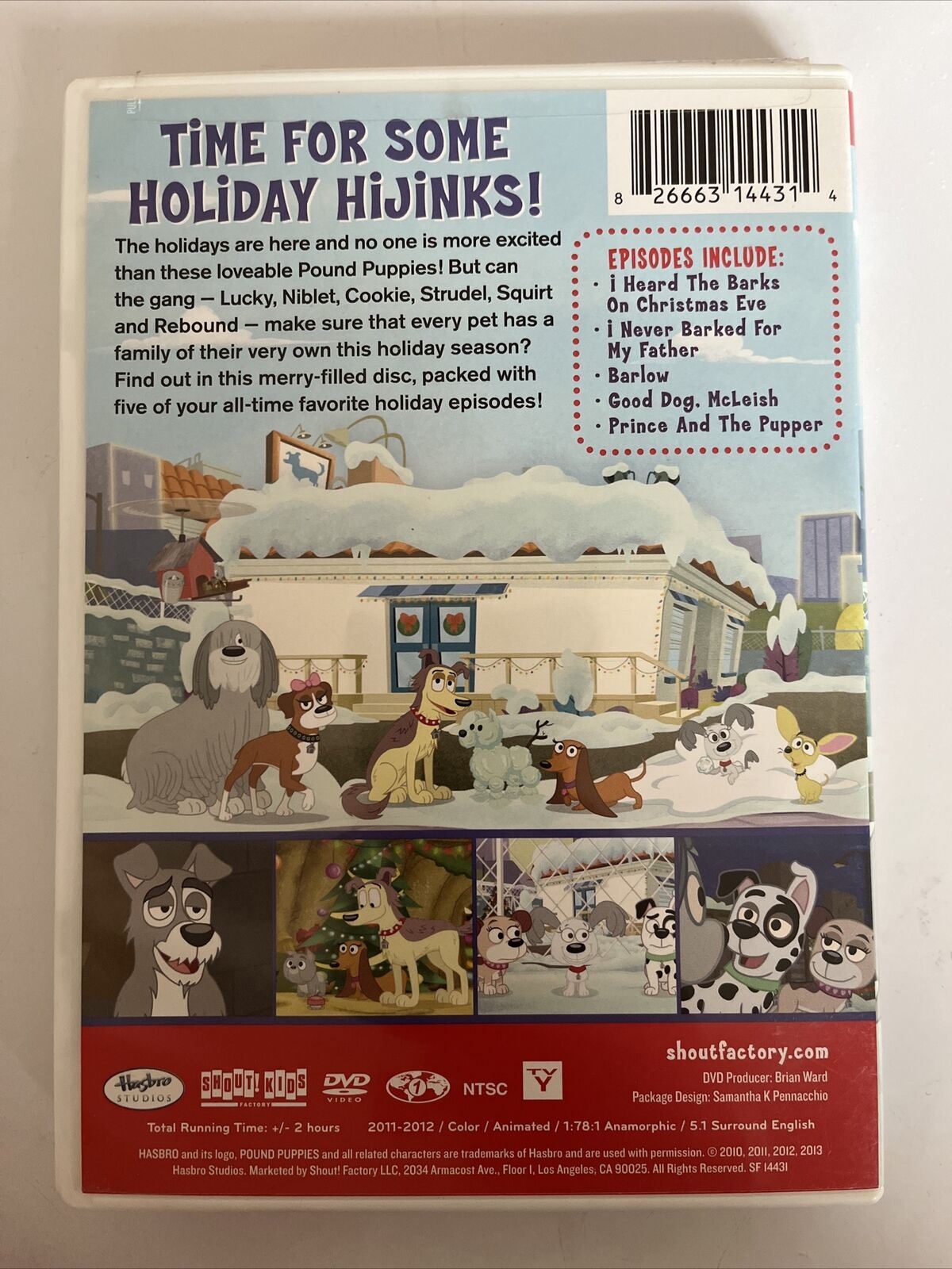 Pound Puppies (DVD) Region 1