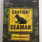 Seaman - Sony PlayStation PS2 NTSC-J Japan SEGA Virtual Pet Sim Game