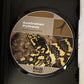 Killer Instinct - Australian Pythons (DVD) Documentary. Rob Bredl All Regions