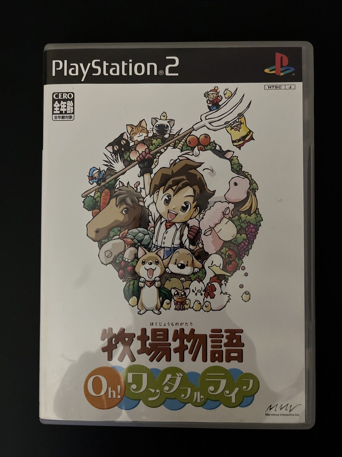 Harvest Moon: A Wonderful Life - Sony PlayStation PS2 NTSC-J Japan 2004 Game