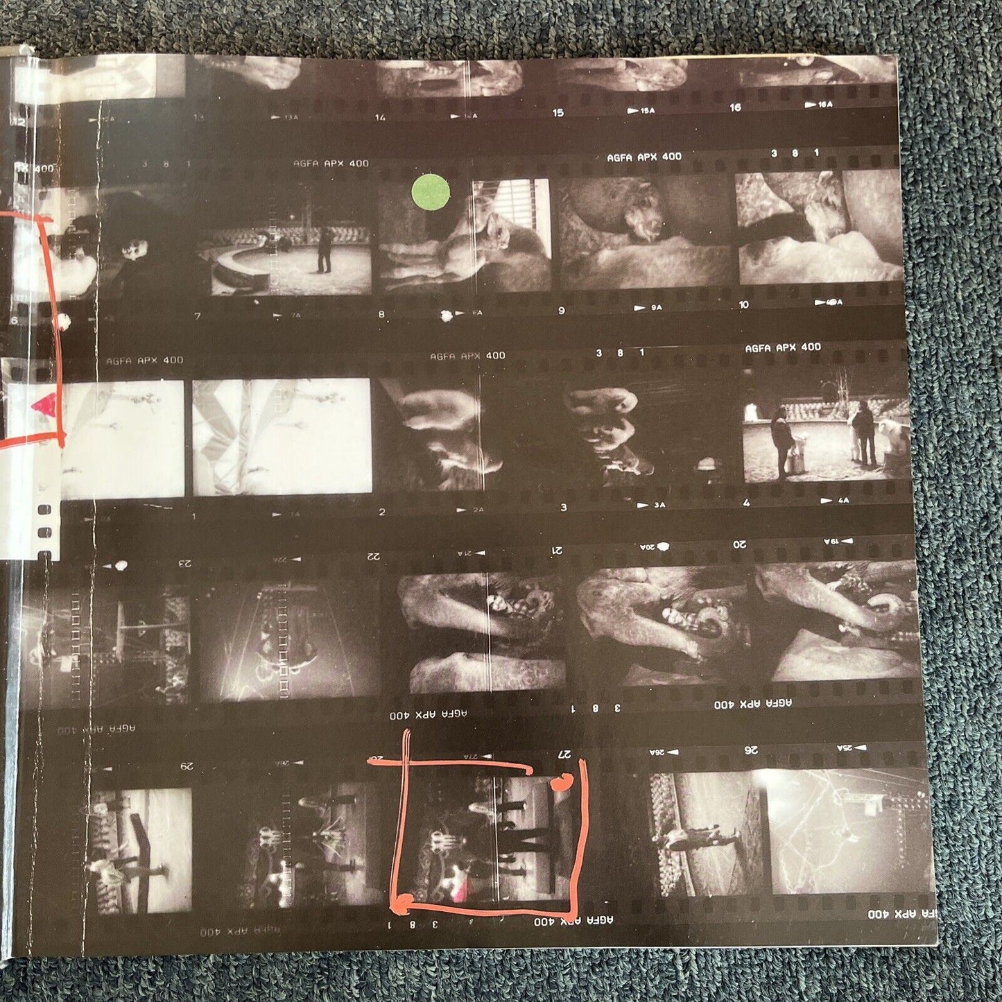 Circus Life - Every Night All Around the World by Gianluigi Di Napoli 2001 Book