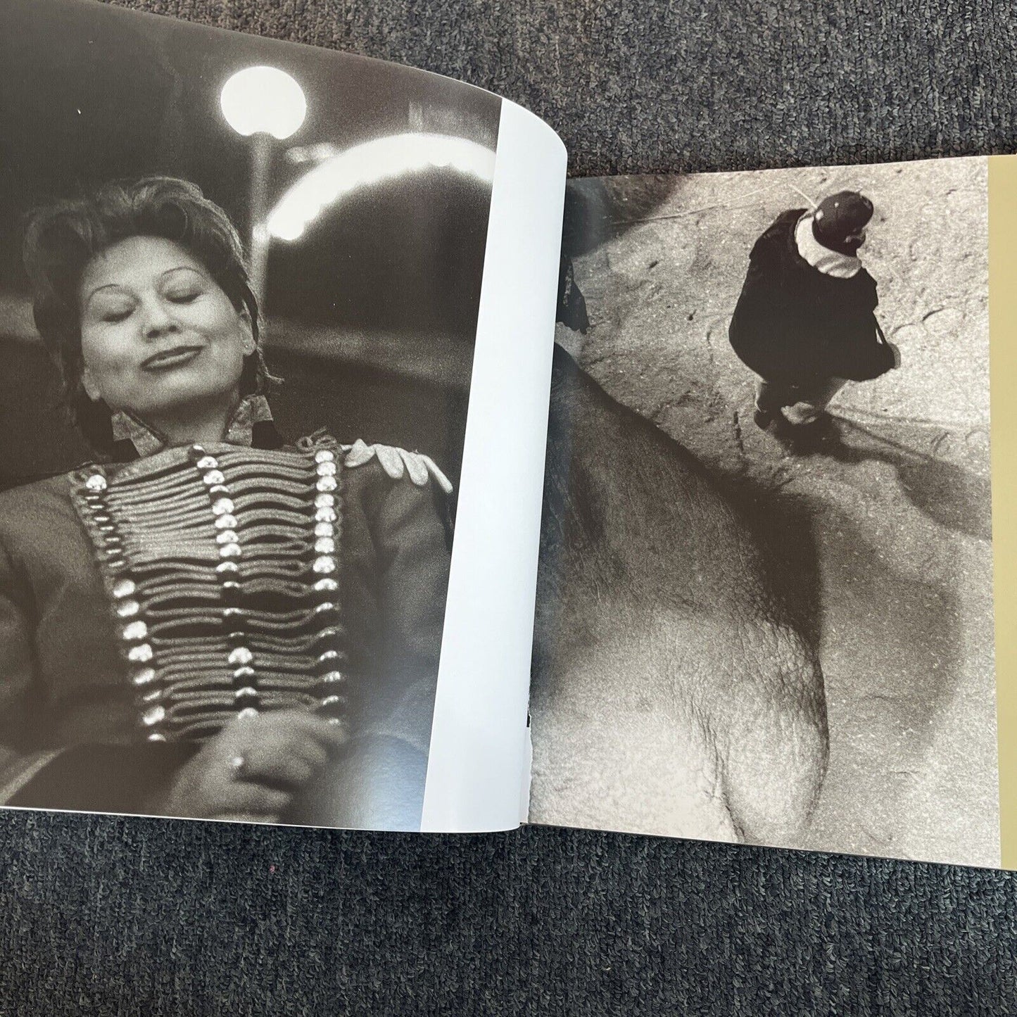 Circus Life - Every Night All Around the World by Gianluigi Di Napoli 2001 Book