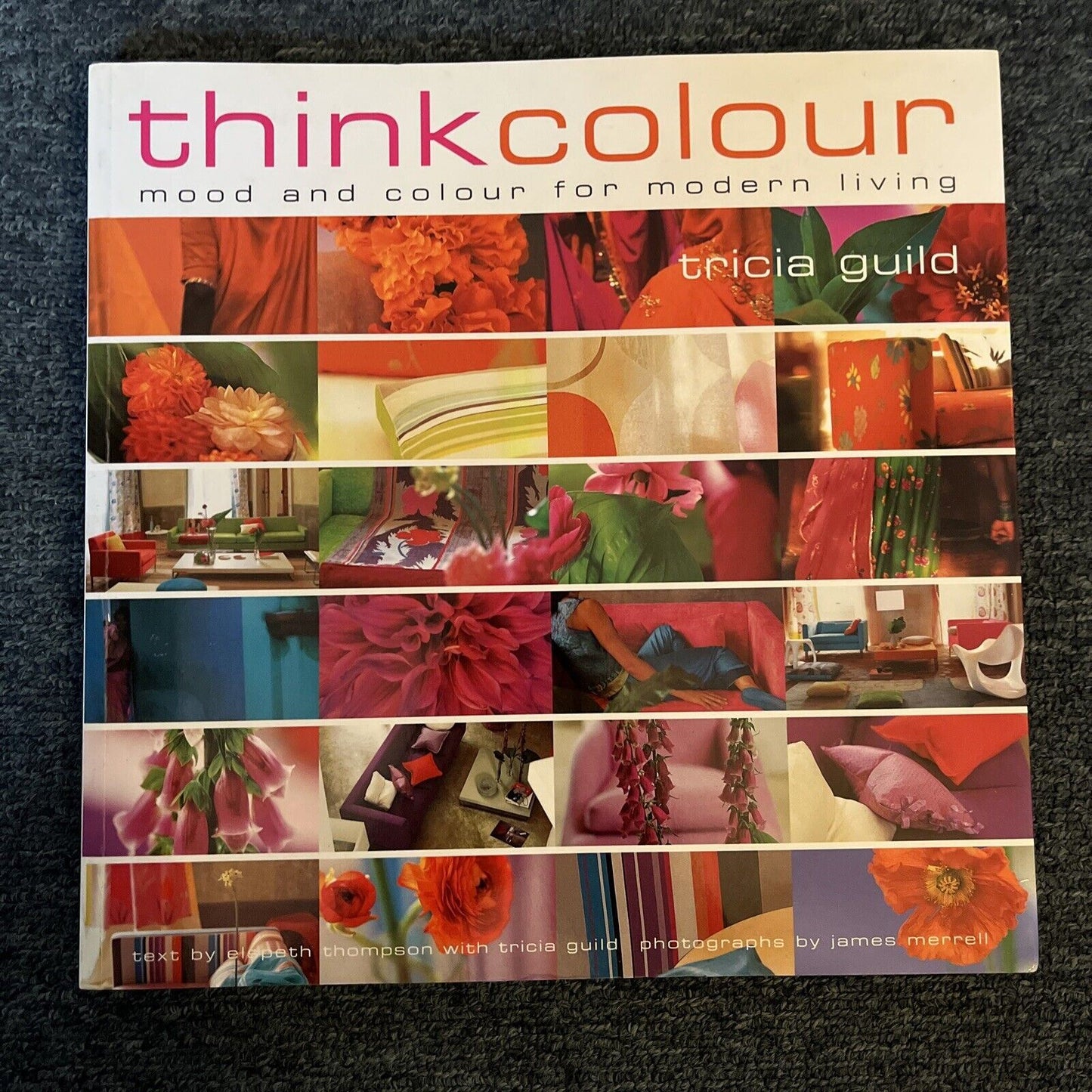 Think Colour: Mood and Colour for Modern Living - Tricia Guild, Elspeth Thompson
