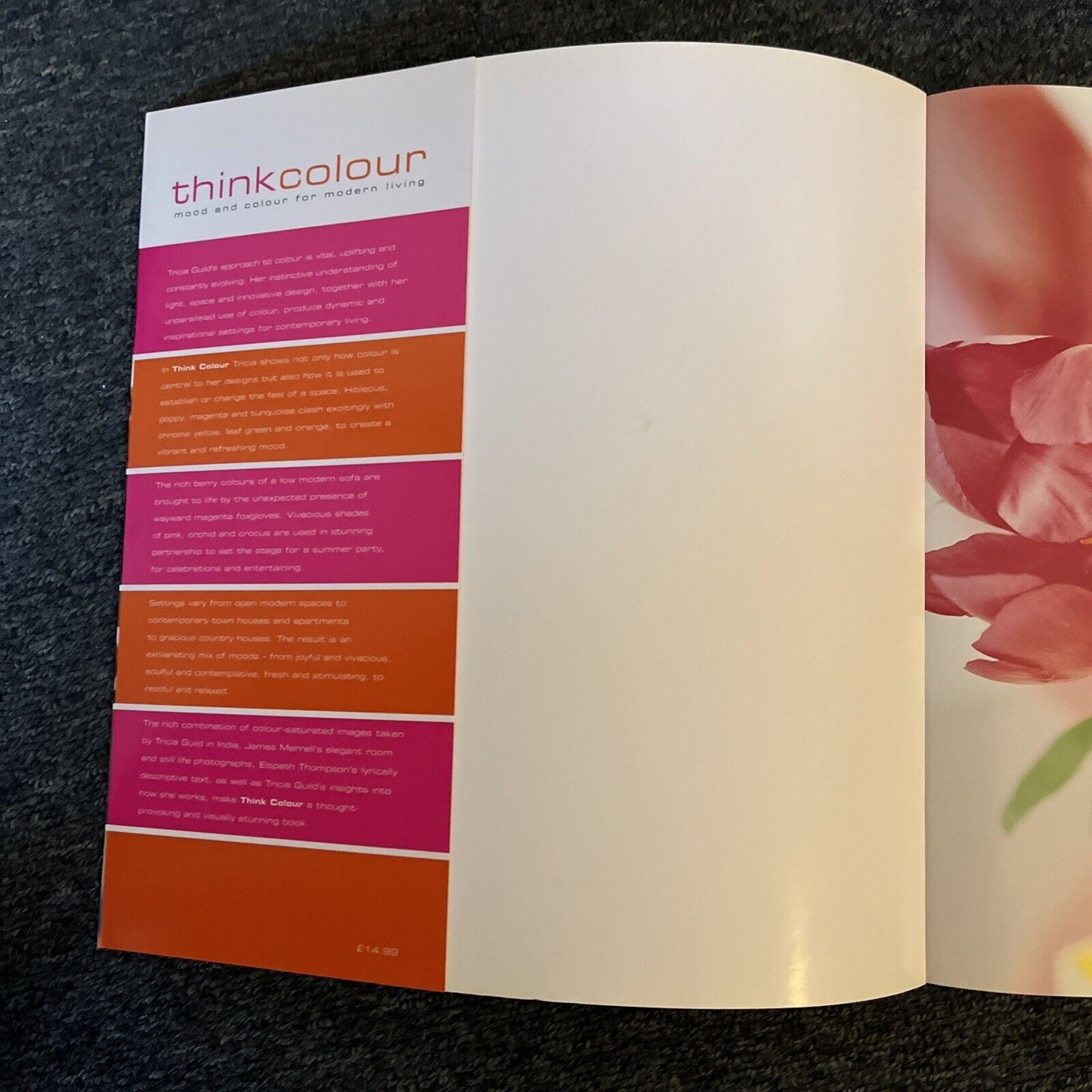 Think Colour: Mood and Colour for Modern Living - Tricia Guild, Elspeth Thompson