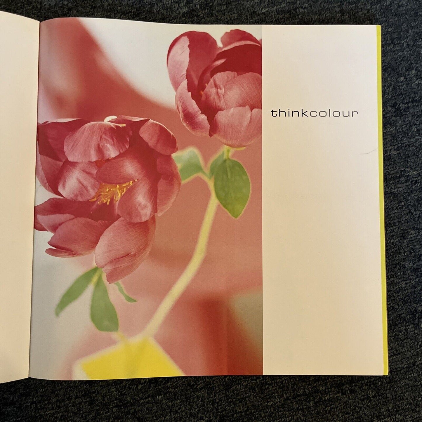 Think Colour: Mood and Colour for Modern Living - Tricia Guild, Elspeth Thompson