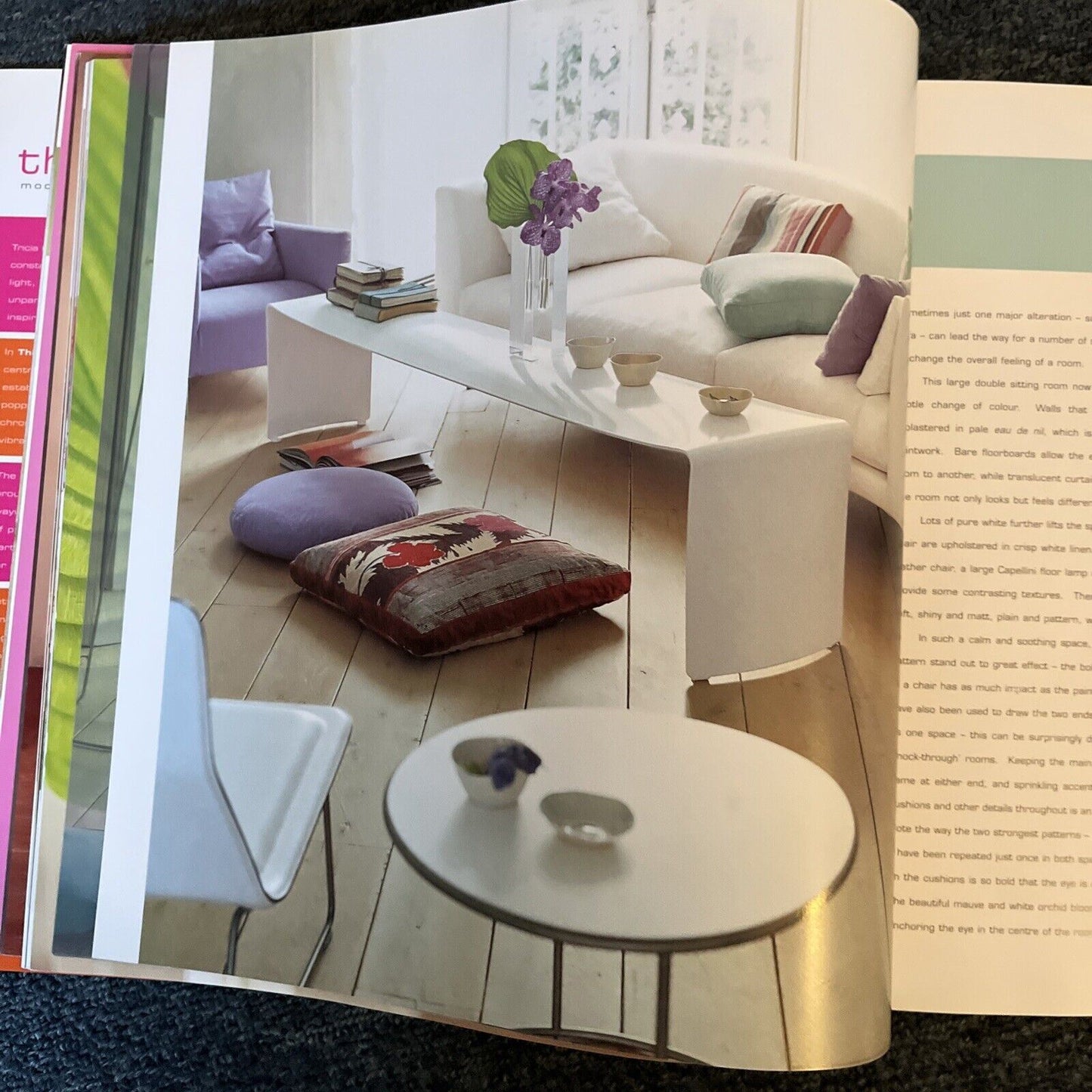 Think Colour: Mood and Colour for Modern Living - Tricia Guild, Elspeth Thompson