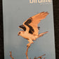 3x Bird Magazine - Australian Birdlife Magazine + Cosmos Magazine
