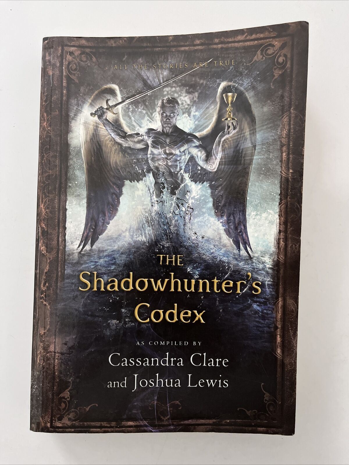 The Shadowhunter's Codex by Cassandra Clare, Joshua Lewis (Paperback, 2013)