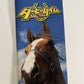 Derby Time - Sony PSP JAPAN Horse Racing Game