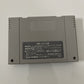 Populous - Nintendo Super Famicom SNES NTSC-J JAPAN World Building Game