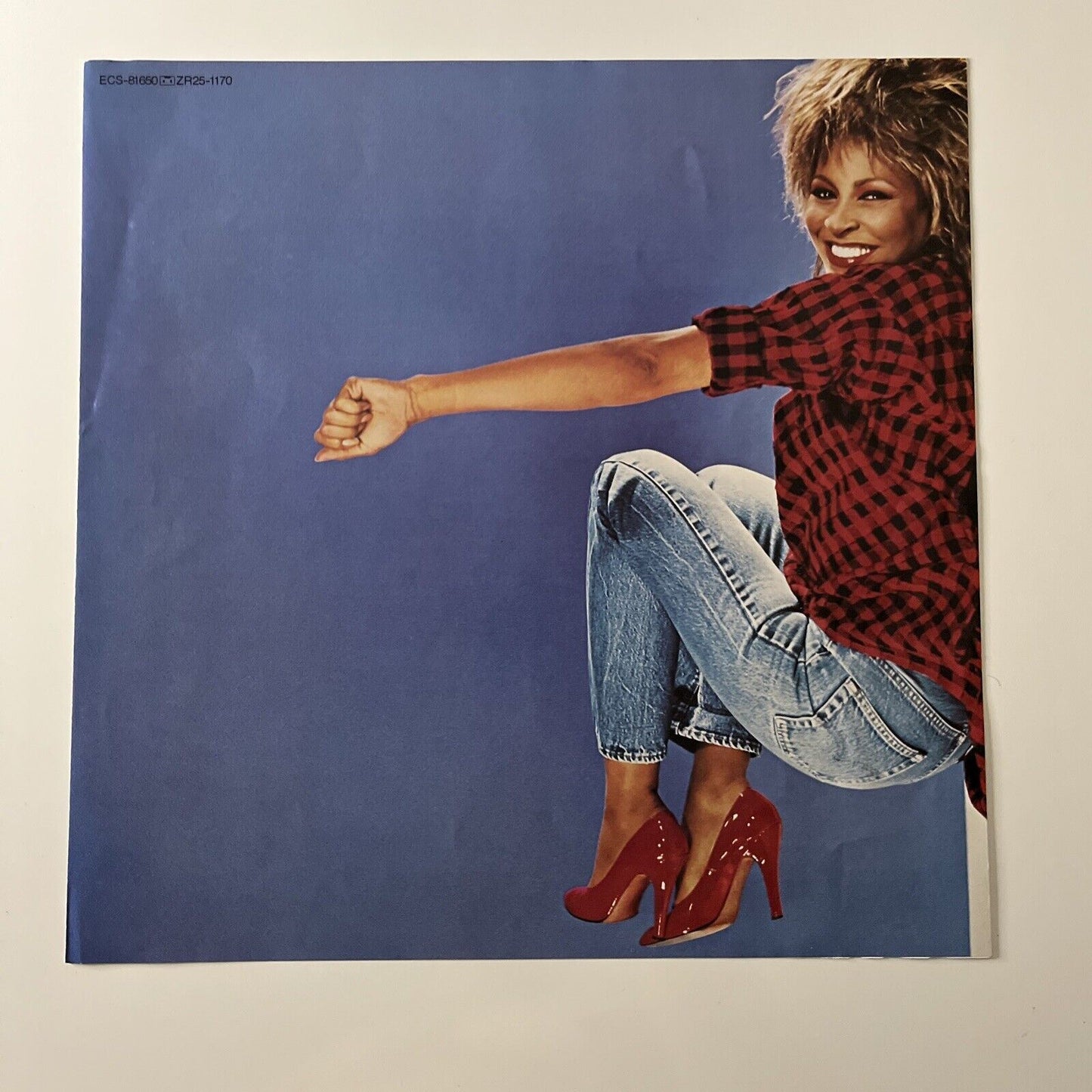 Tina Turner - Private Dancer LP Vinyl Record 1984 ECS-81650