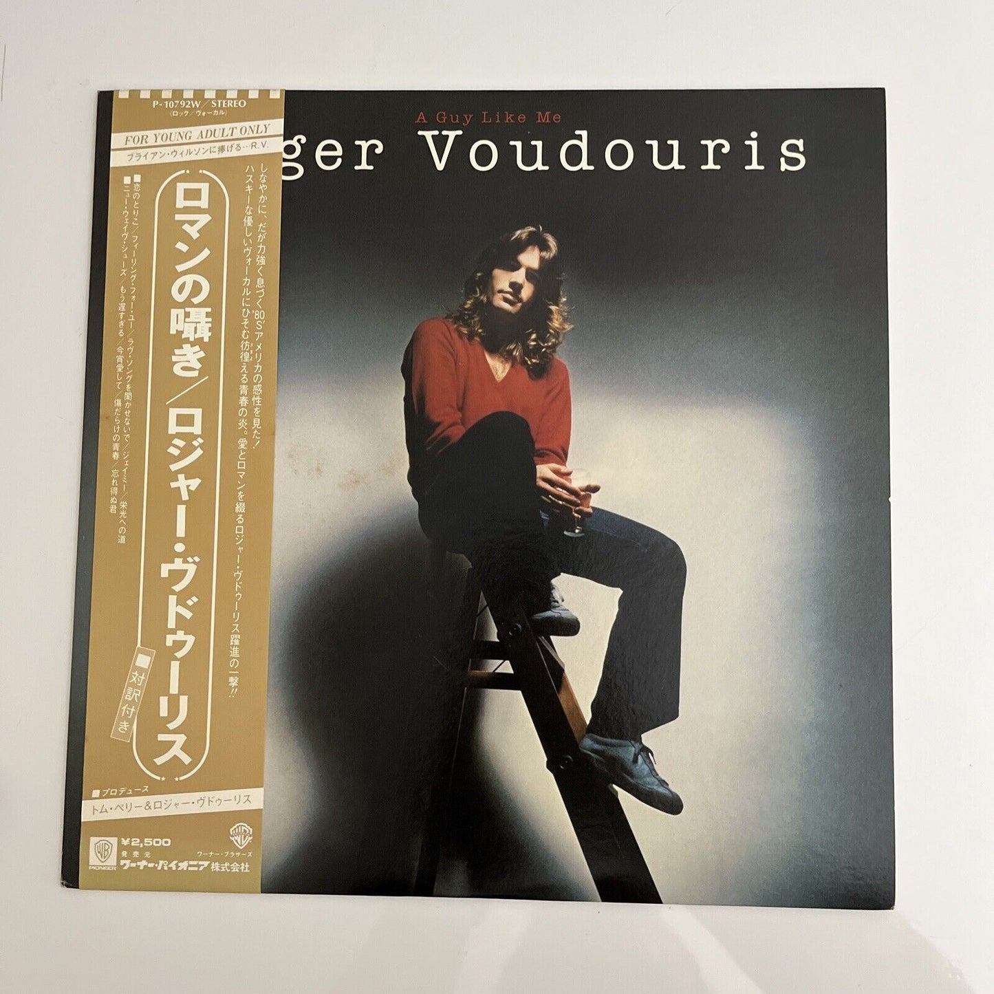 Roger Voudouris – A Guy Like Me LP 1980 Vinyl Record Album P-10792W