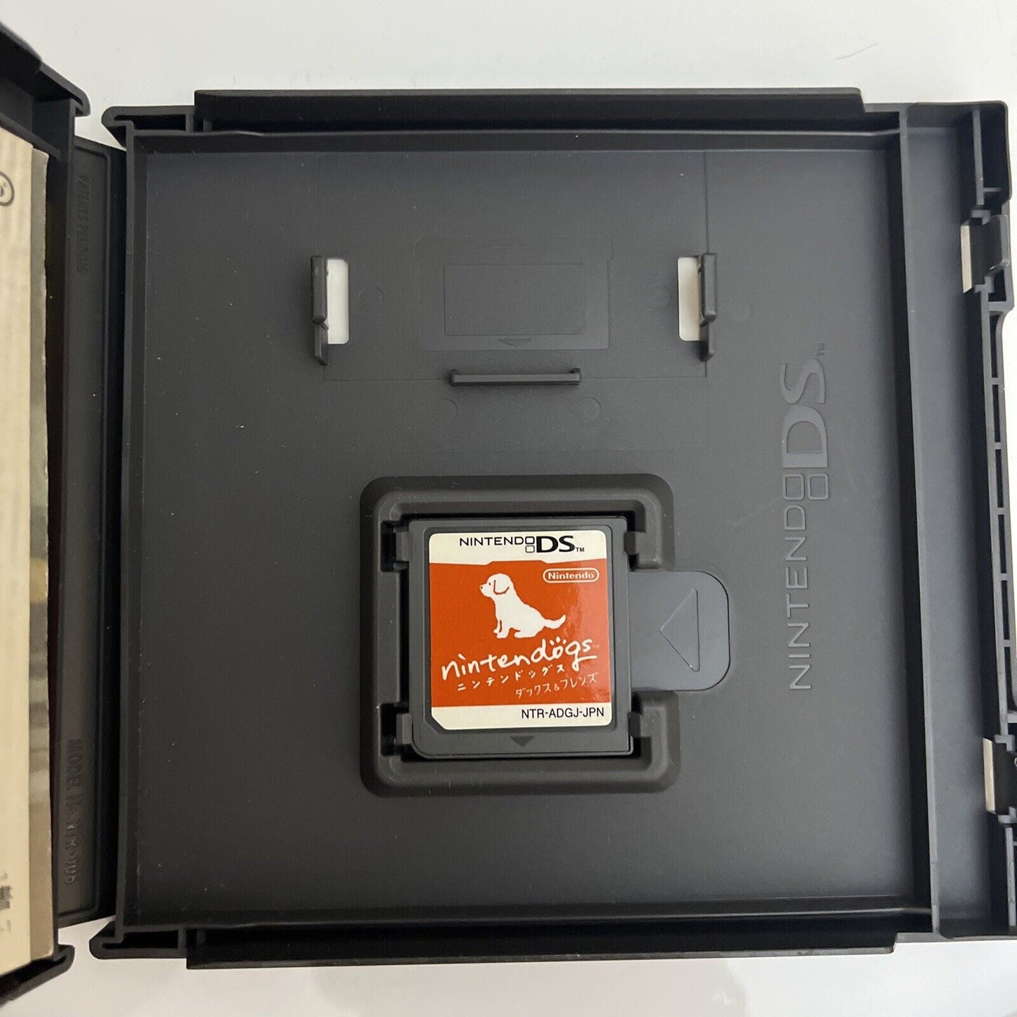 3x Nintendogs Daschsund Shiba Chihuahuas - Nintendo DS JAPAN Game