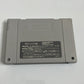 Fatal Fury 1 Garou Densetsu  Nintendo Super Famicom SNES NTSC-J JAPAN Game