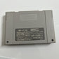 Thoroughbred Breeder 2  Nintendo Super Famicom SNES NTSC-J JAPAN Horse 1994 Game