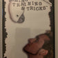 BIRD TAMING TRAINING & TRICKS 2x DVD TRAINING SESSIONS RARE AUS
