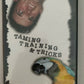 Taming Training And Tricks - Volume 2 DVD Chet & Dave Womach