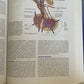 Pathophysiology : Concepts of Altered Health States by Carol Mattson Porth...
