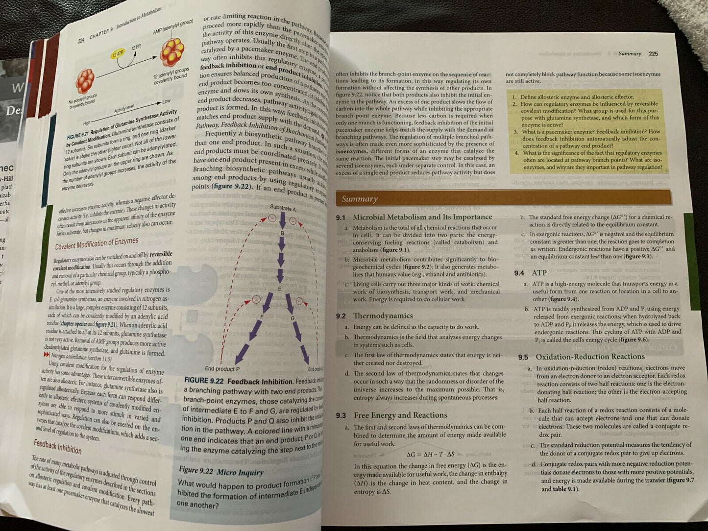 Prescott's Microbiology - International Edition by Joanne Willey, Linda Sherwood