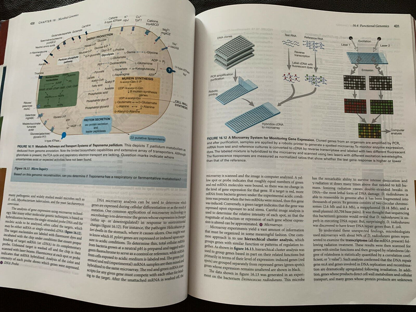 Prescott's Microbiology - International Edition by Joanne Willey, Linda Sherwood