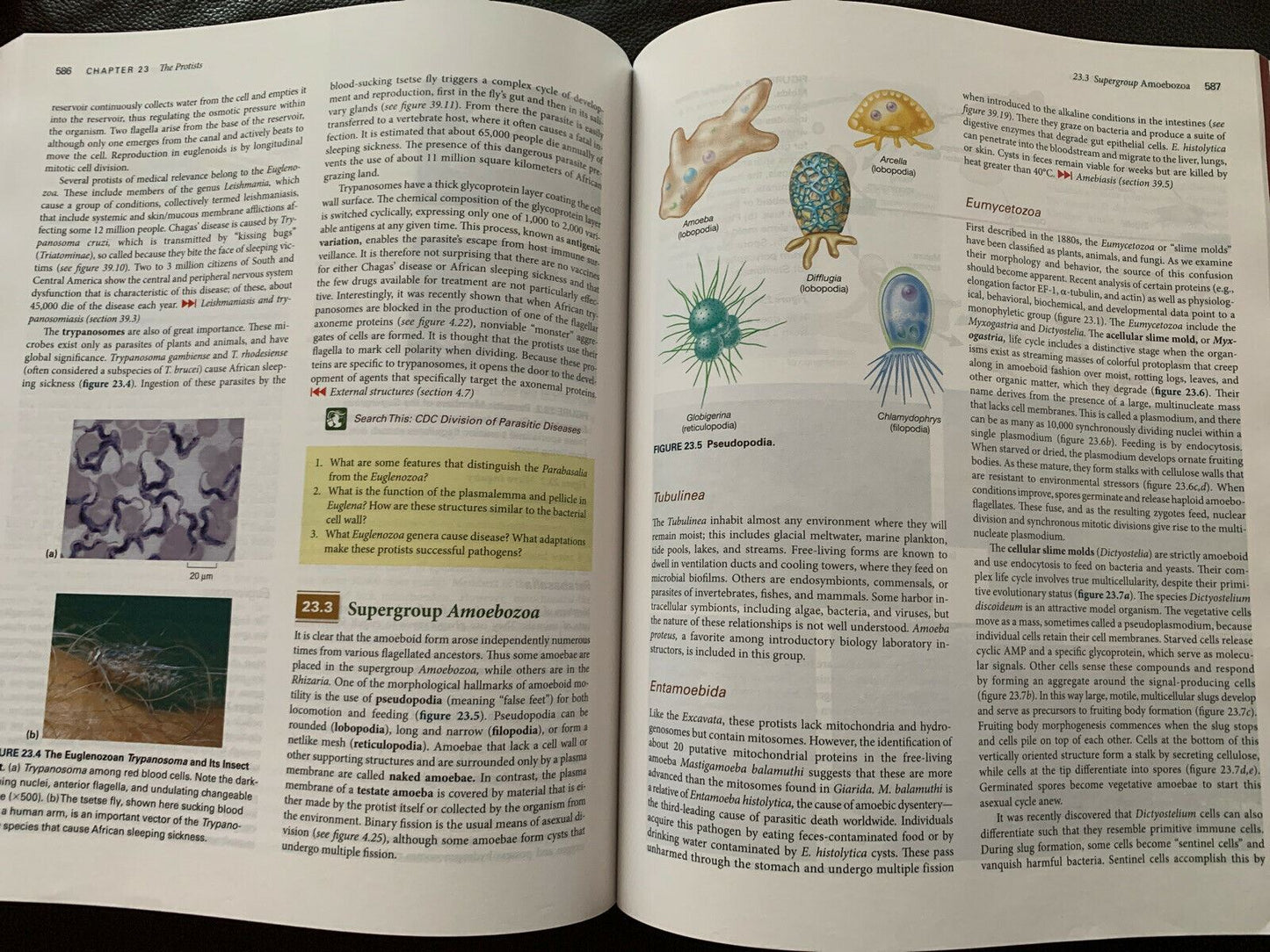 Prescott's Microbiology - International Edition by Joanne Willey, Linda Sherwood