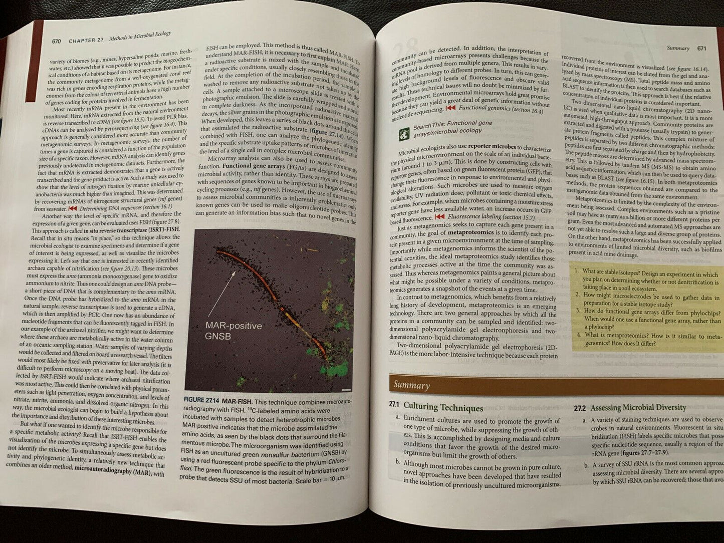 Prescott's Microbiology - International Edition by Joanne Willey, Linda Sherwood