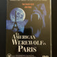 An American Werewolf In Paris (DVD, 1997) Tom Everett Scott, Julie Delpy Region4
