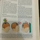 Medical Surgical Nursing - Clinical Management 5th Edition - Joyce Black