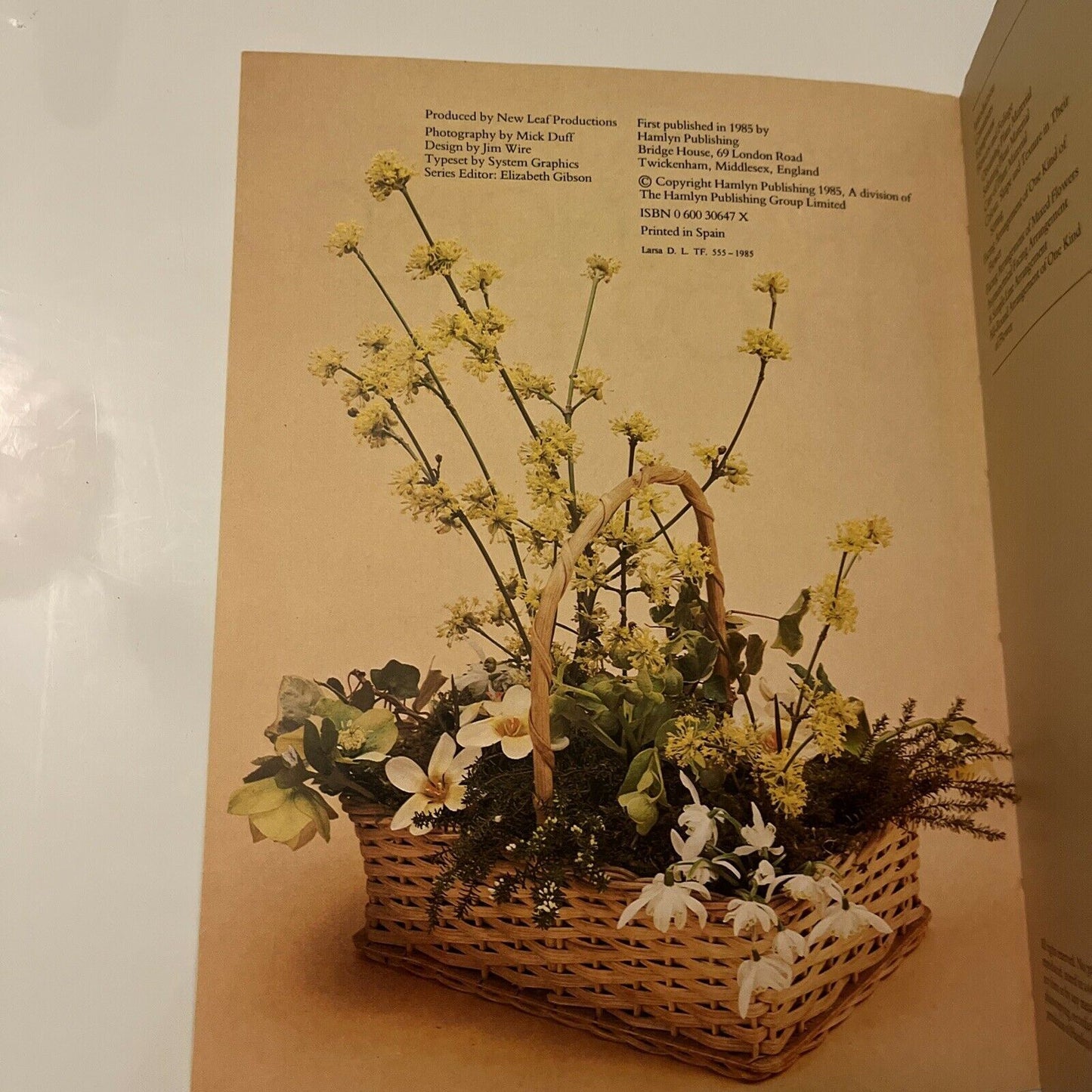 Arranging Flowers by Barbara Pearce 1985