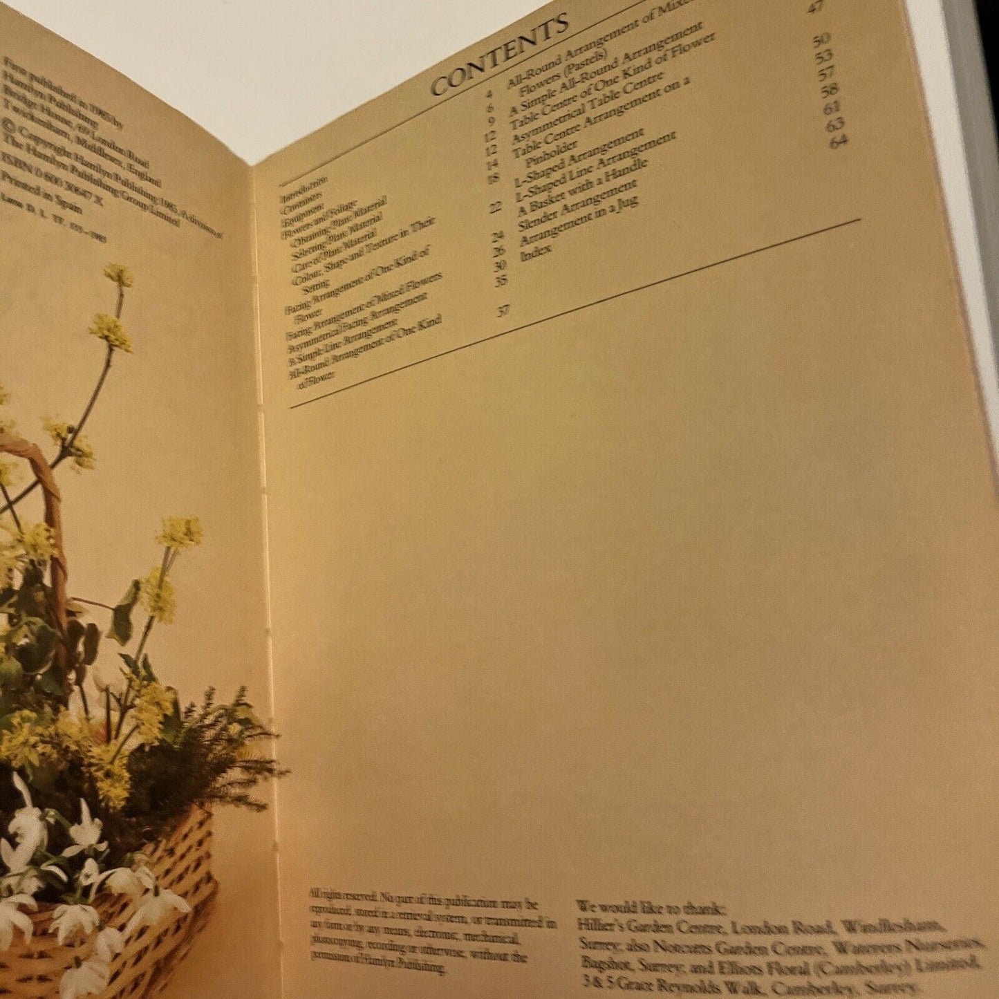 Arranging Flowers by Barbara Pearce 1985