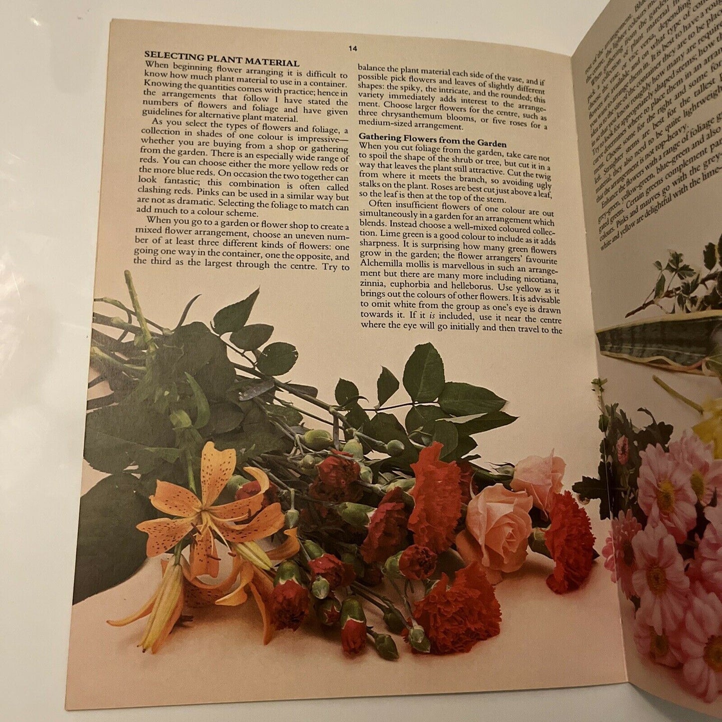 Arranging Flowers by Barbara Pearce 1985