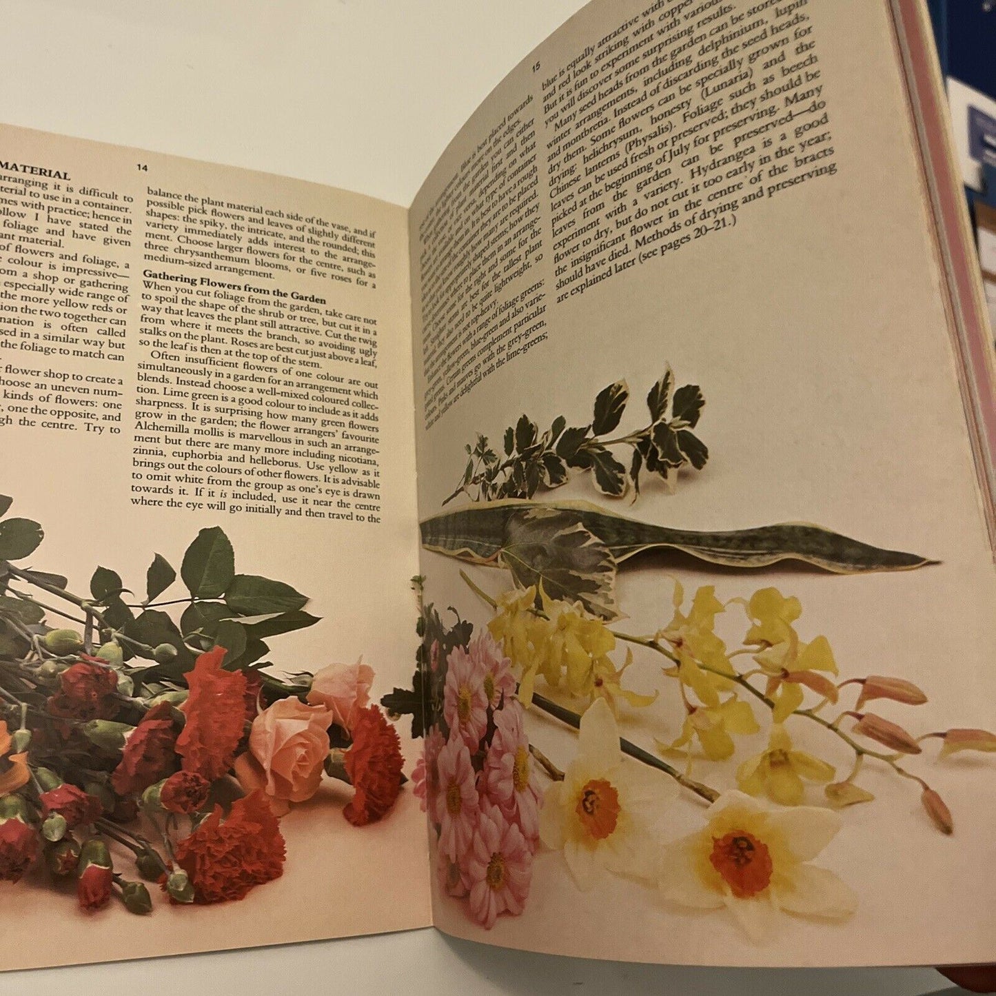Arranging Flowers by Barbara Pearce 1985