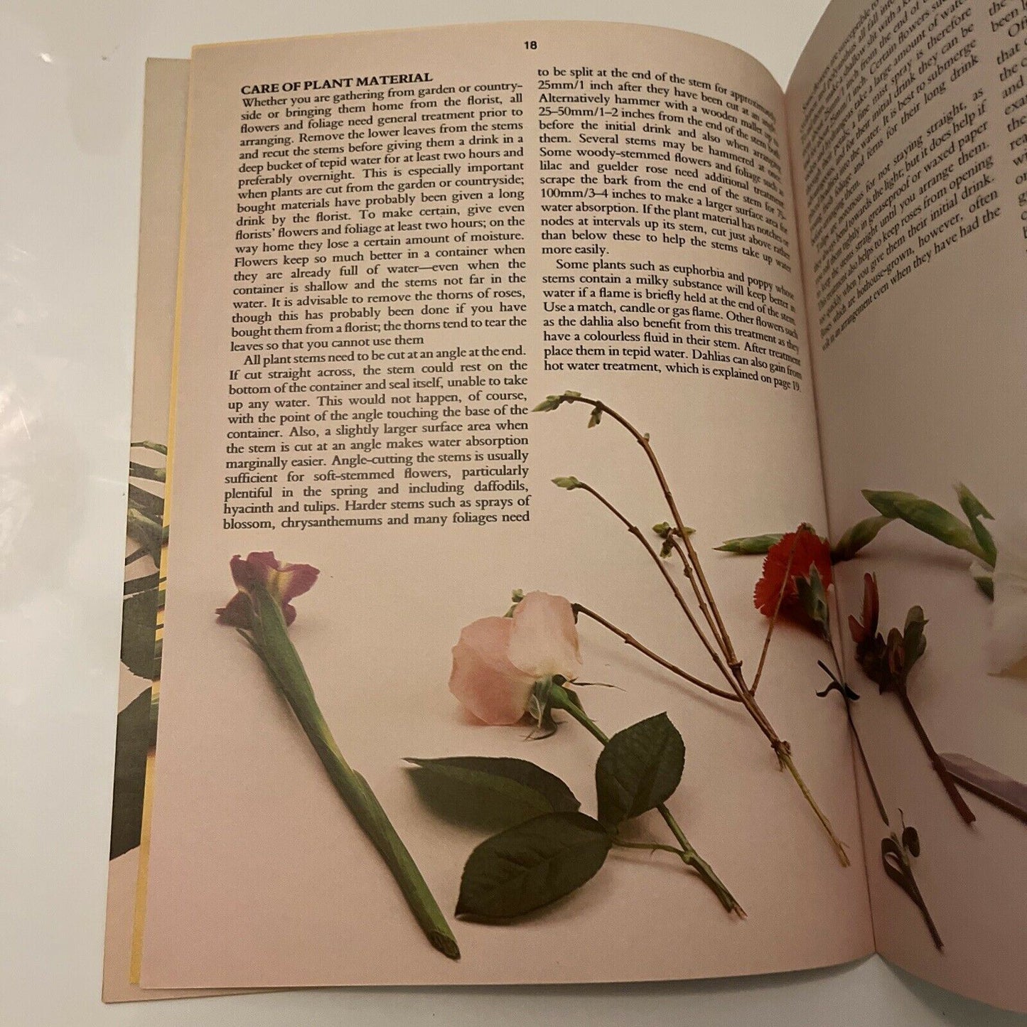 Arranging Flowers by Barbara Pearce 1985