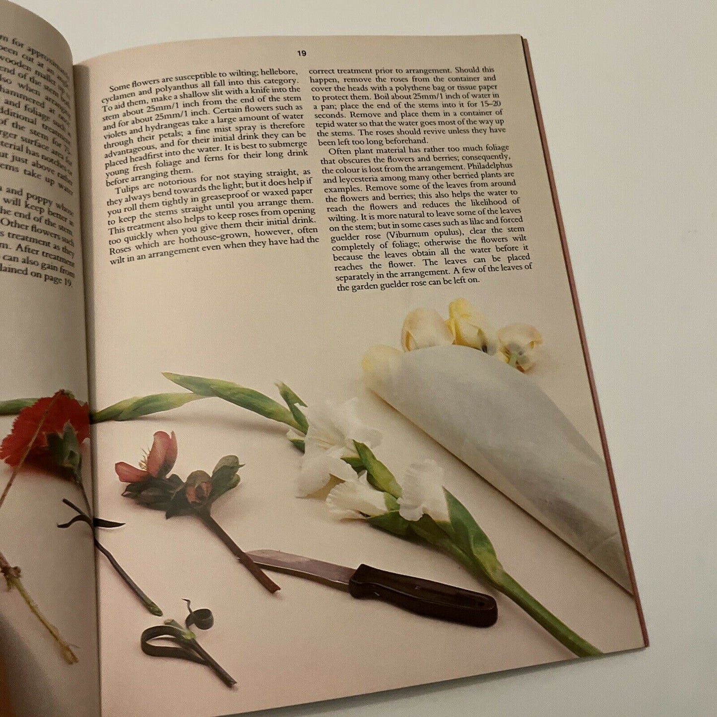 Arranging Flowers by Barbara Pearce 1985