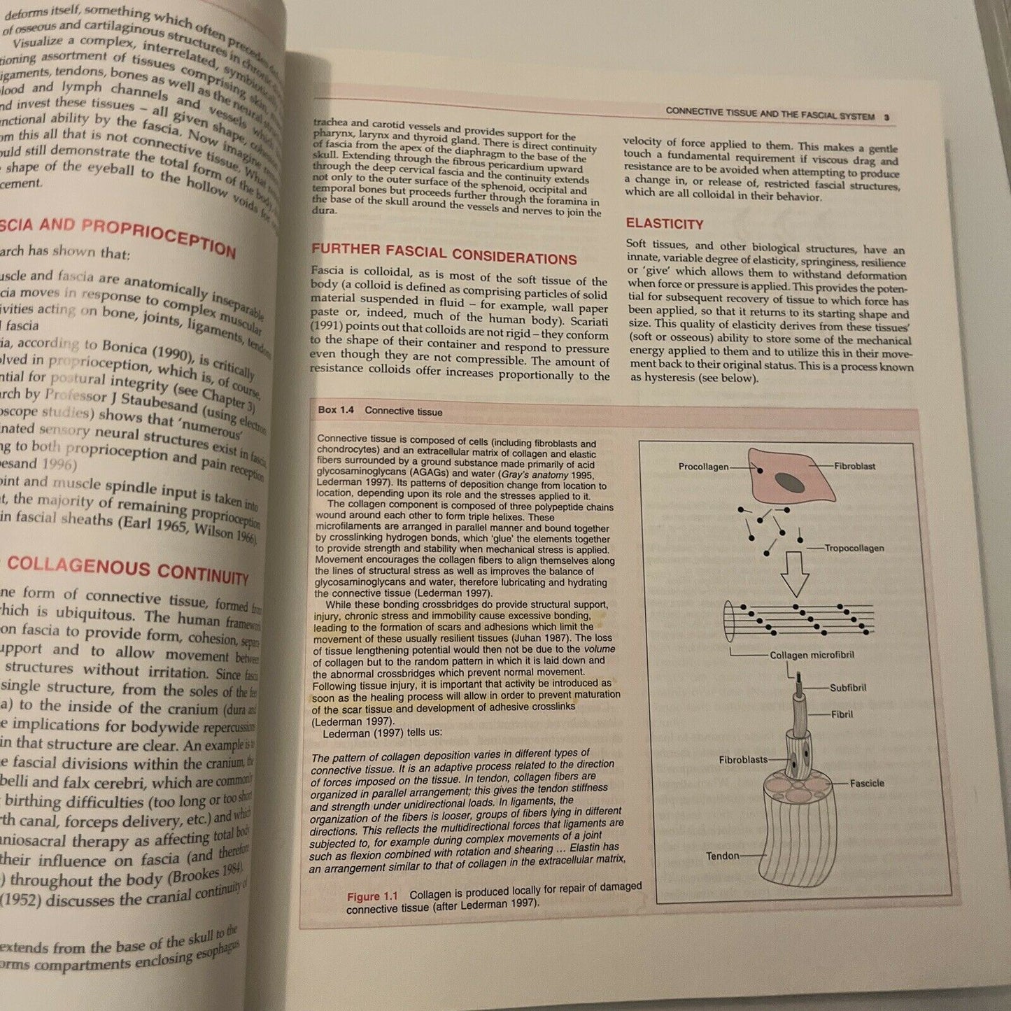 Clinical Application of Neuromuscular Techniques Volume 1 by Leon Chaitow,