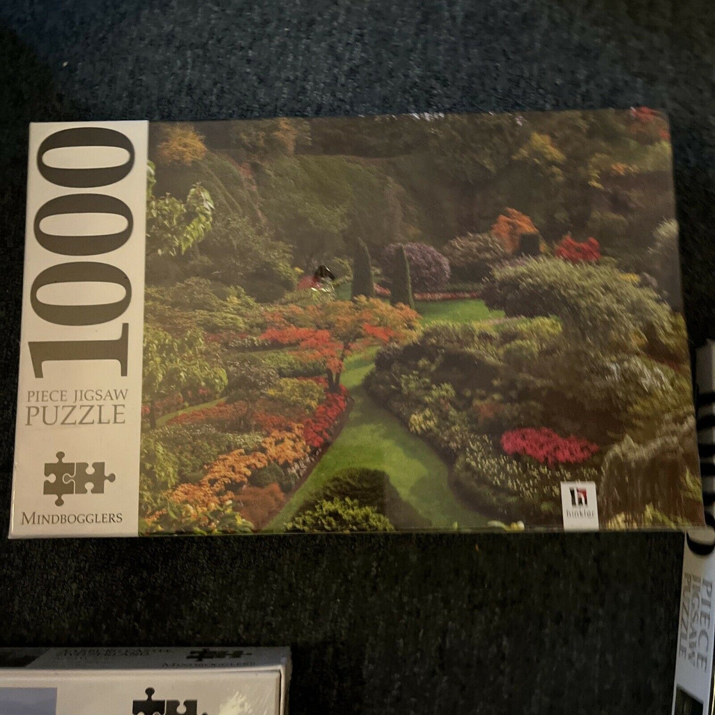 *New* Mindbogglers Puzzles: Aarburg Castle, Town Of Trient, Ornamental Garden