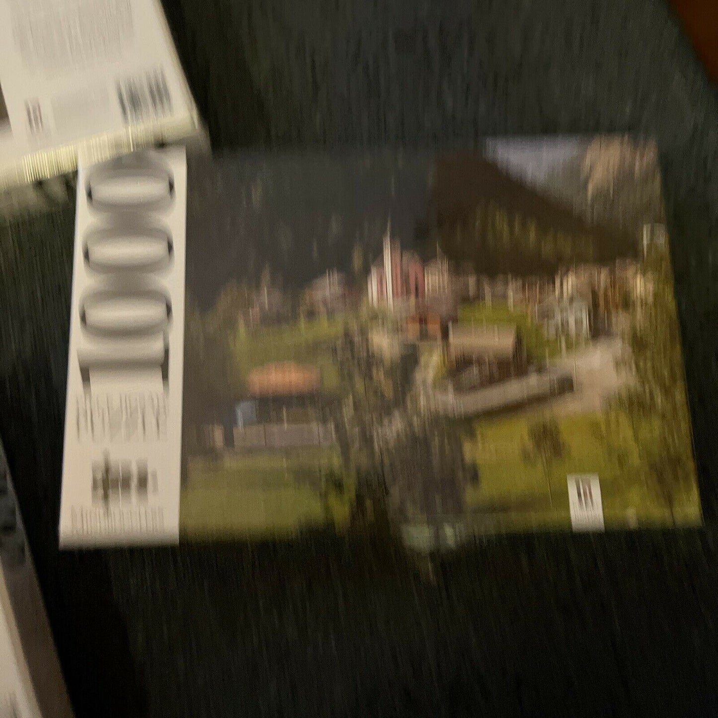 *New* Mindbogglers Puzzles: Aarburg Castle, Town Of Trient, Ornamental Garden