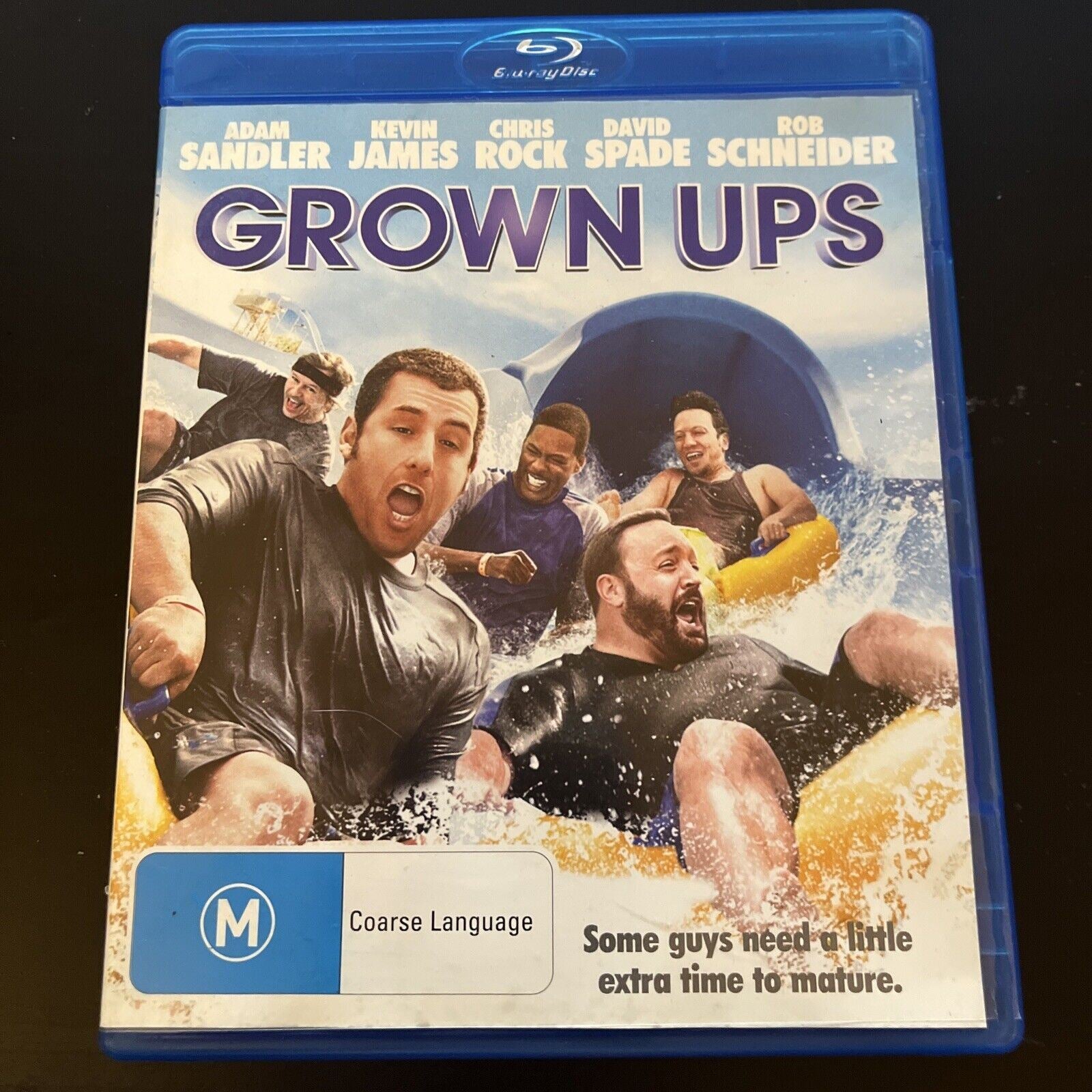 Grown Ups (Blu-ray, 2010) Adam Sandler, Kevin James, Chris Rock, All R ...