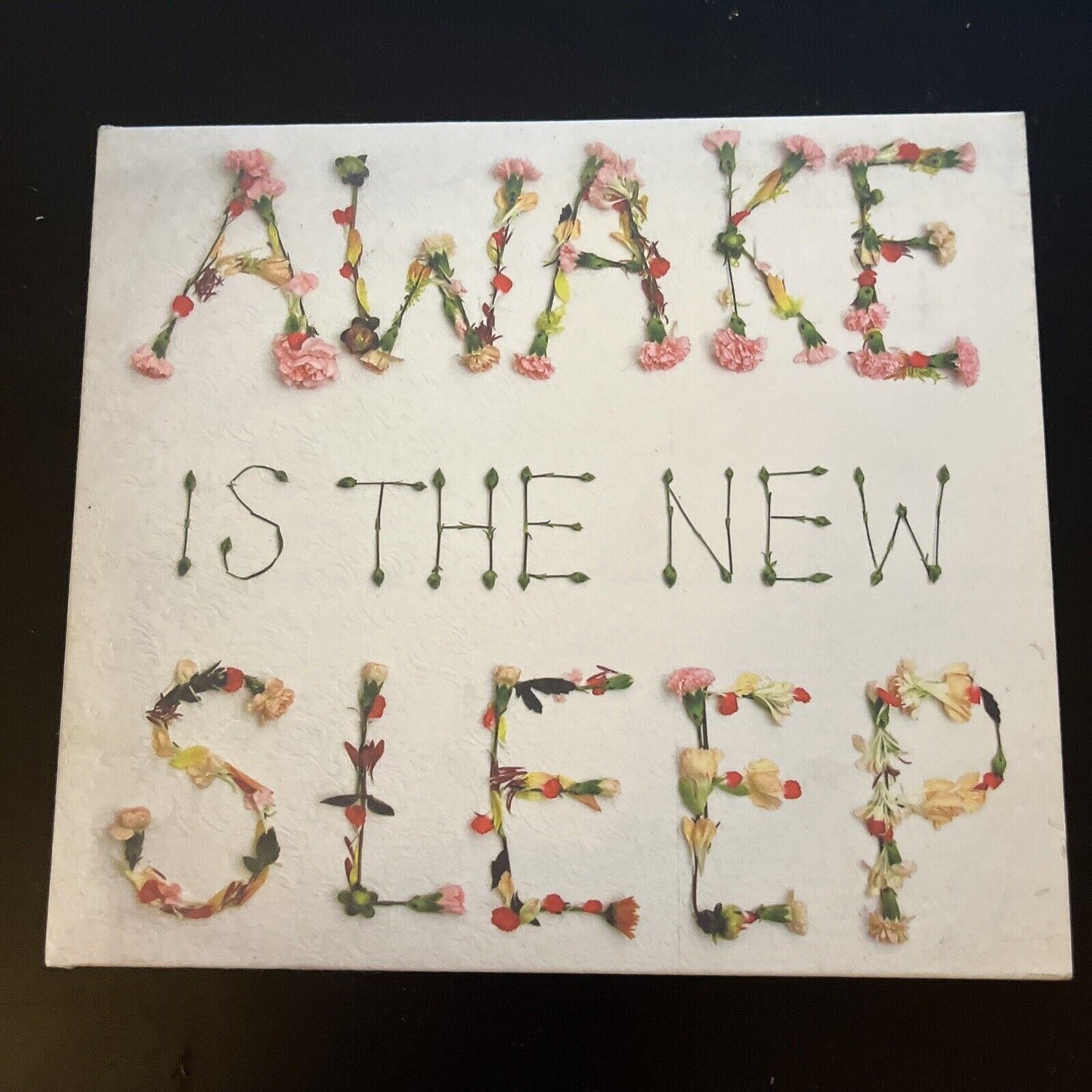 Ben Lee - Awake Is the New Sleep (CD, Feb-2005)