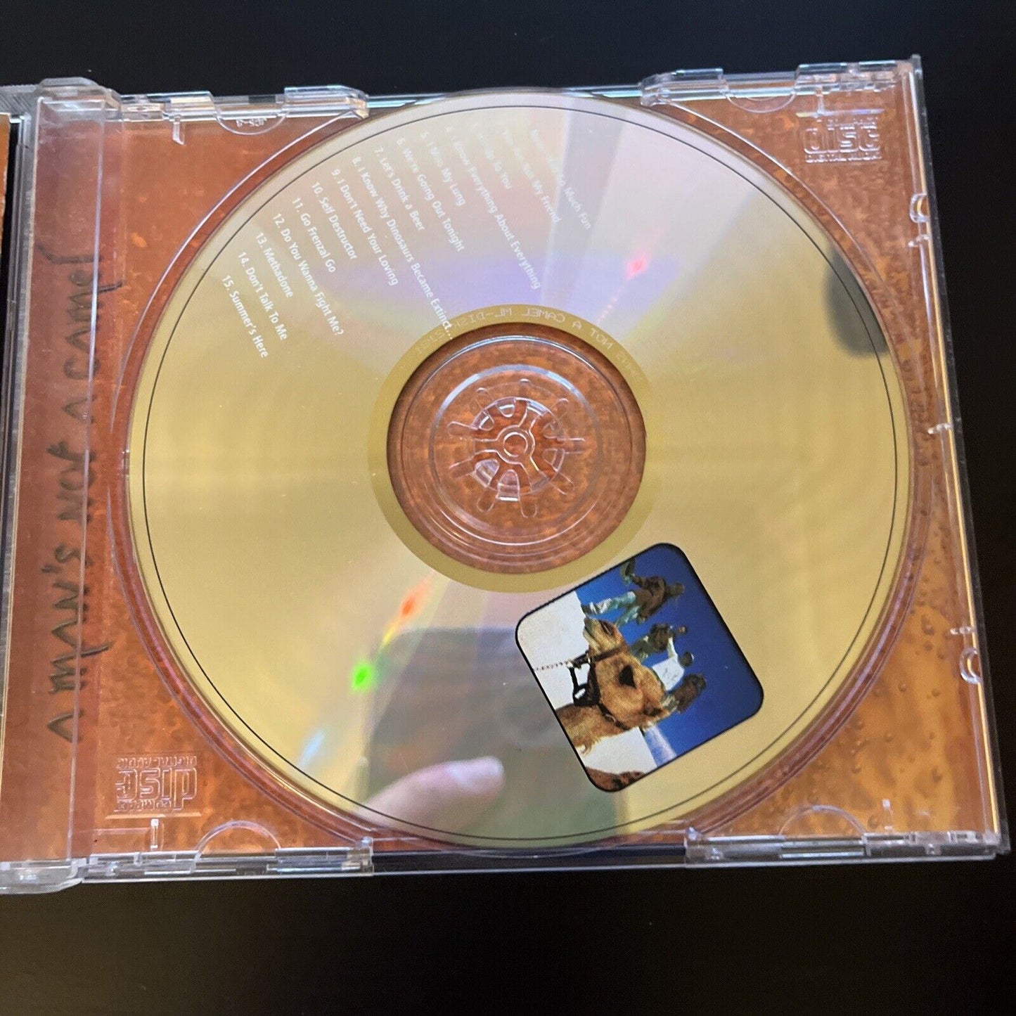 Frenzal Rhomb - A Man's Not A Camel (CD, 1999)