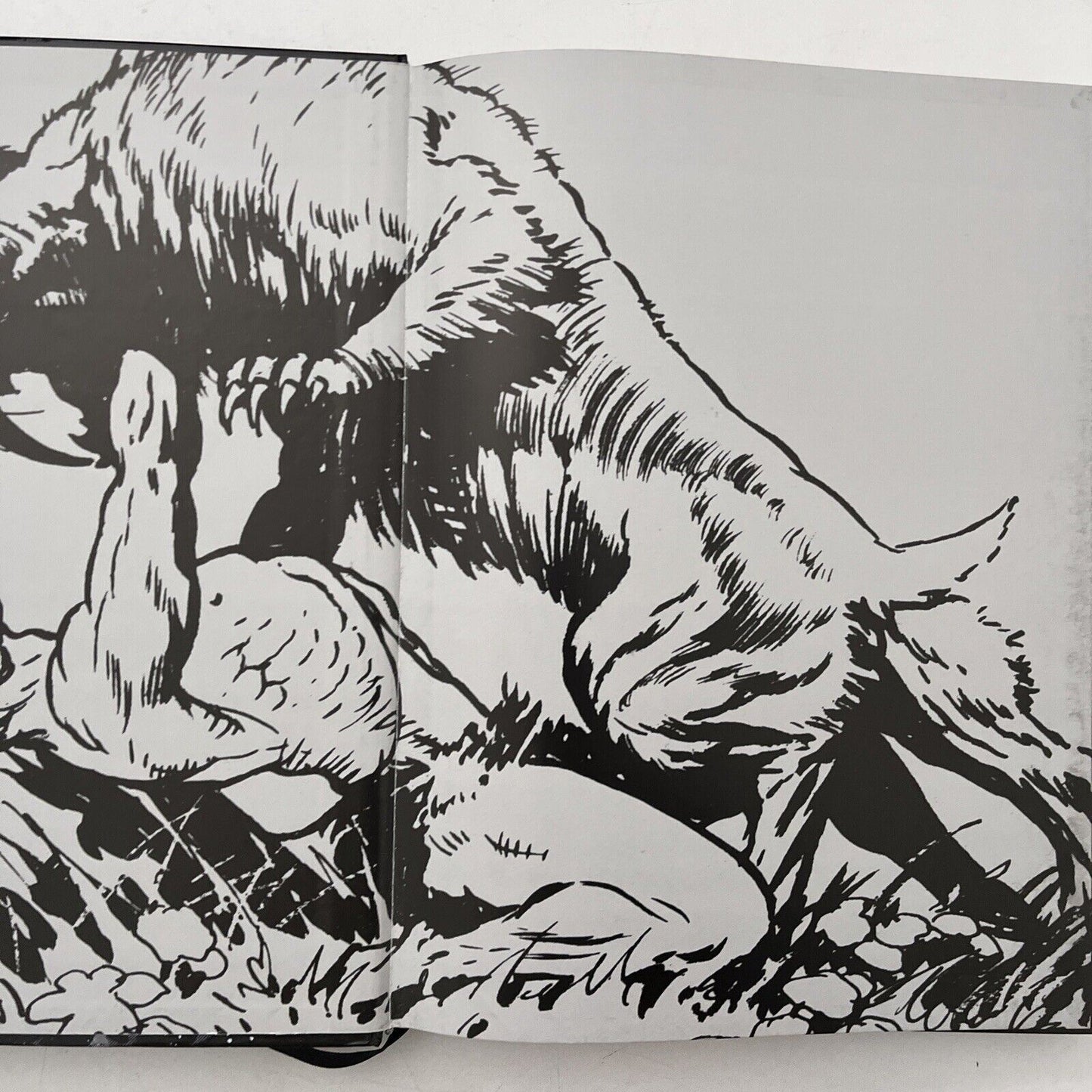 Telling Stories: The Classic Comic Art of Frank Frazetta by Frank Frazetta HC