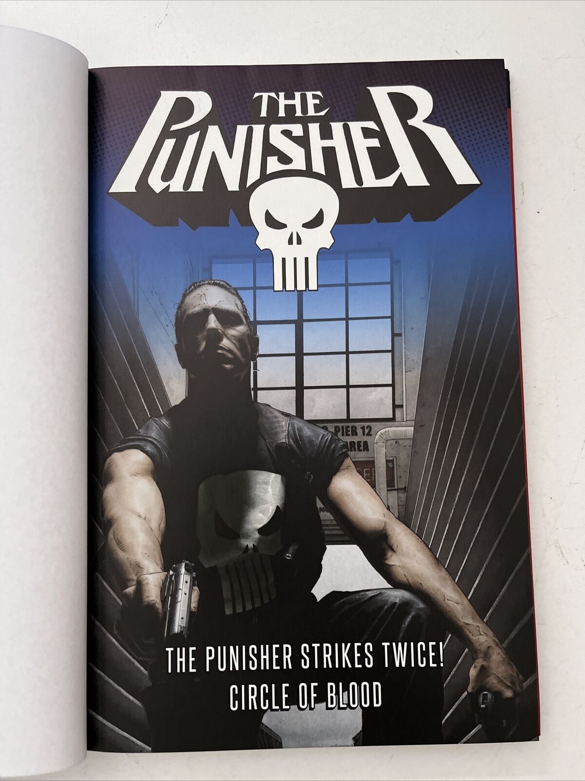 Marvel's Mightiest Heroes: The Punisher Hardcover Collection Volume 53