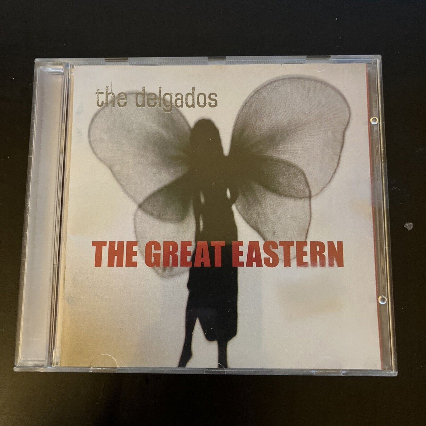 The Delgados - The Great Eastern (CD, 2000)