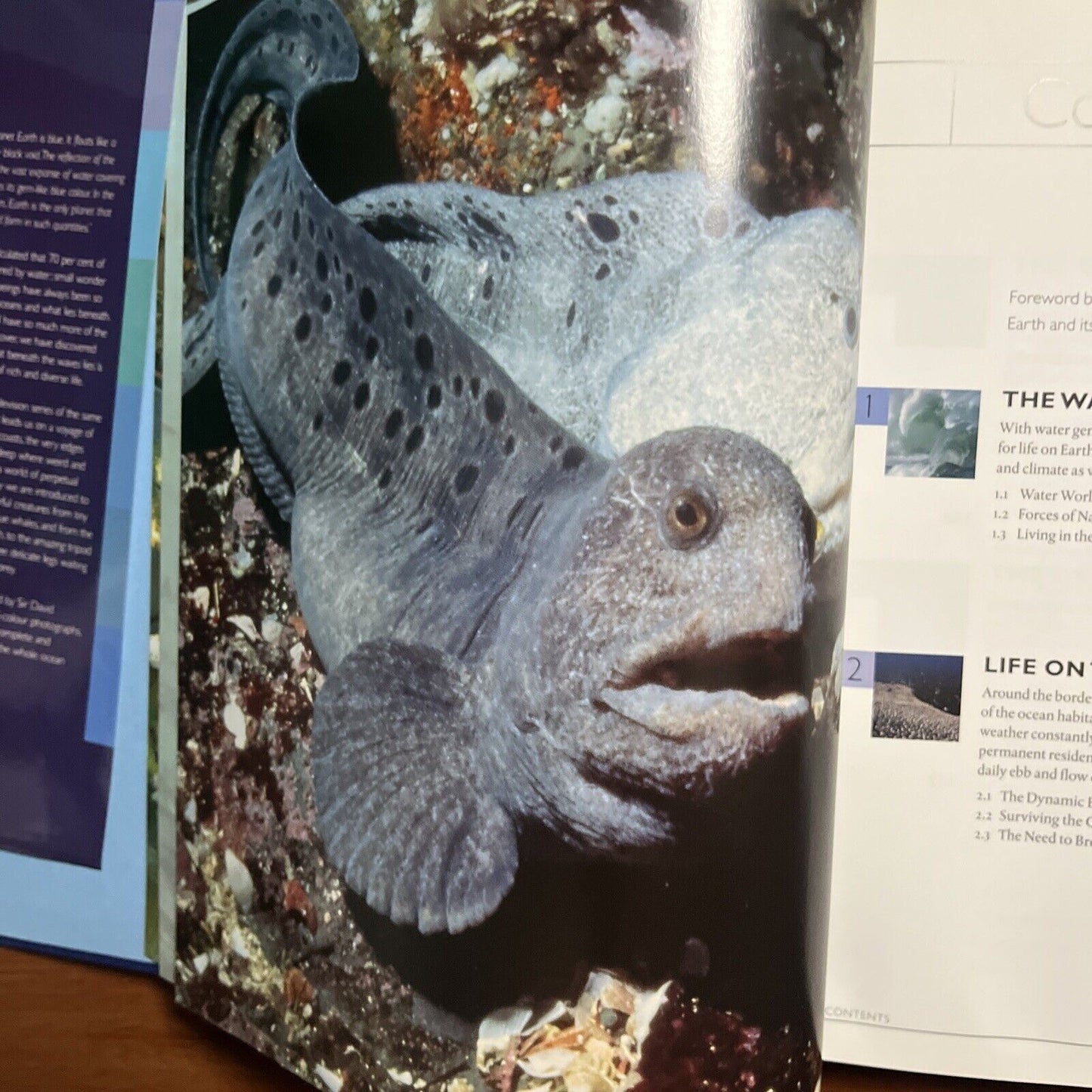 BBC The Blue Planet -  A Natural History Of The Oceans (Hardcover, 2001)